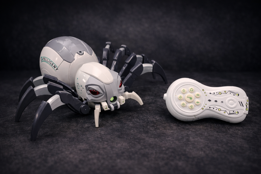 Remote Control Mechanical Spider Toy with Spray, Light & Sound | RC Crawling Spider for Kids