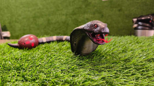 Remote Control Cobra Snake Toy | Realistic Crawling Snake with LED Eyes