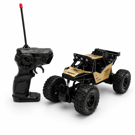RC Rock Crawler Off-Road Remote Control Car 1:18 Scale Alloy Toy with Spray & LED Lights(C Type Charging)