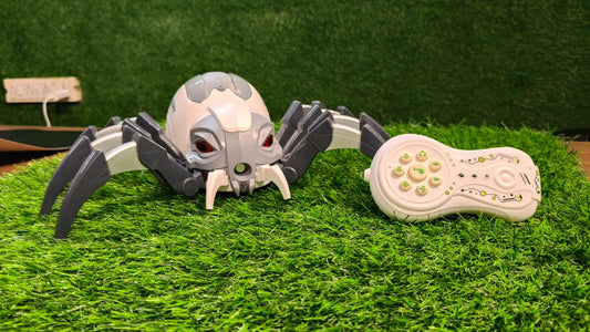 Remote Control Mechanical Spider Toy with Spray, Light & Sound | RC Crawling Spider for Kids